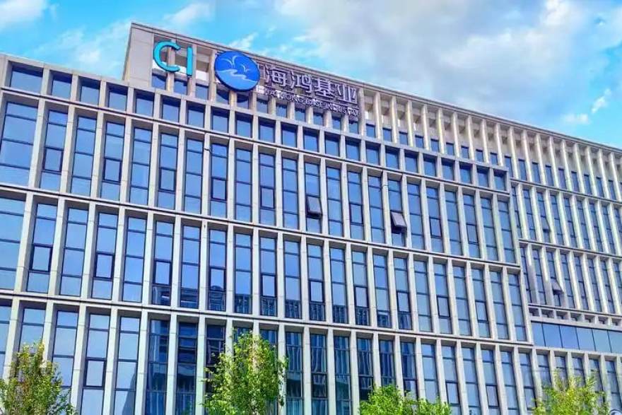 复盘与观察：赛季深入后，足球与篮球赛场那些被低估的调整逻辑
